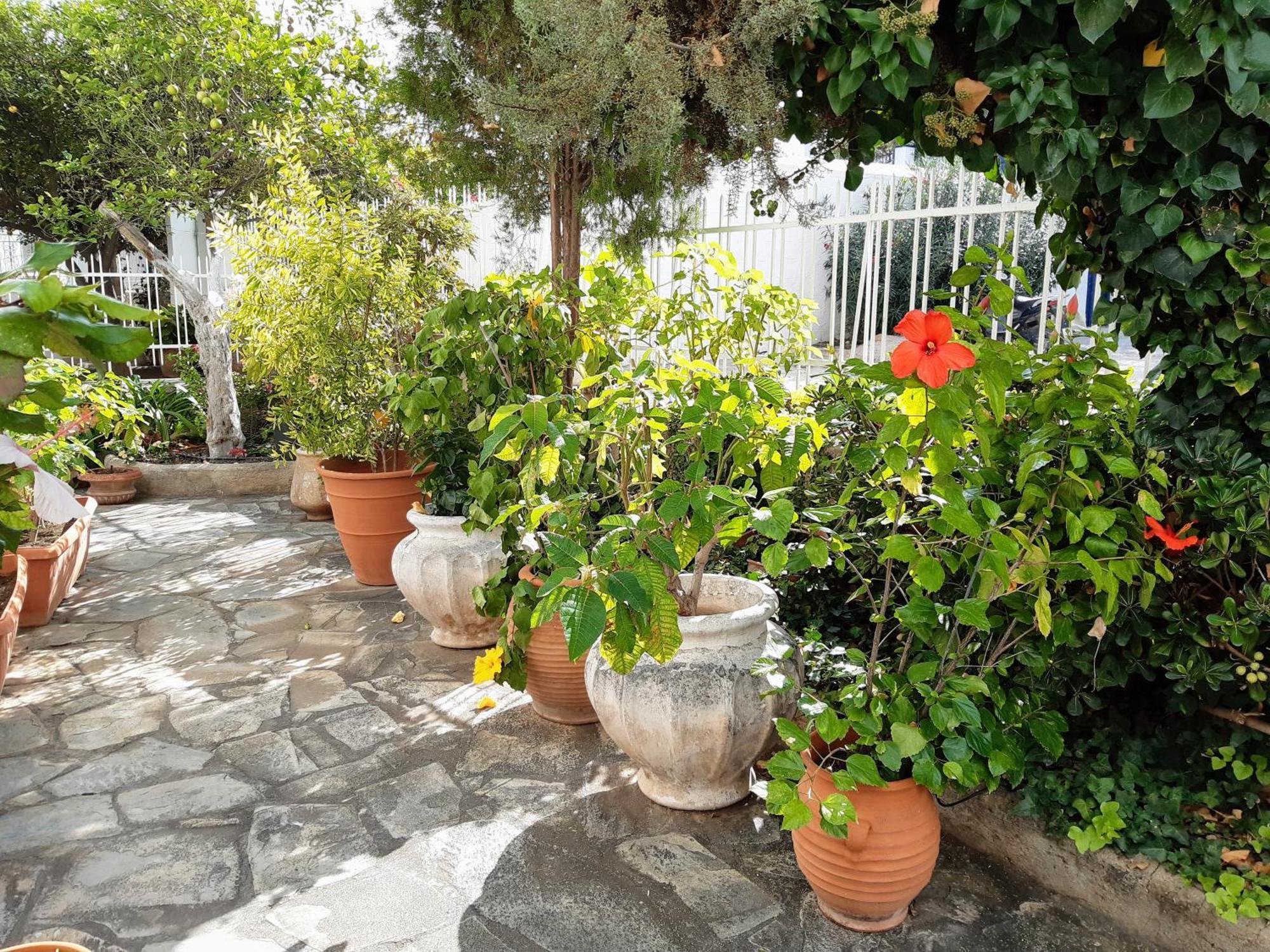 The Elegant Summer House Spetses Town ภายนอก รูปภาพ